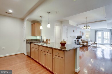 The West Village of Shirlington unit 101, Arlington, VA 22204 - photo 3