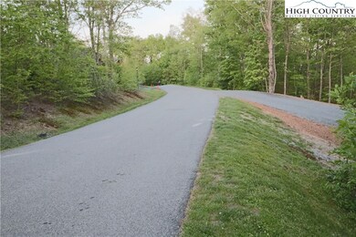 TBD Morgan's Ridge Drive #9 (Morgan's Ridge In Echota), Banner Elk, NC 28604 - photo 2