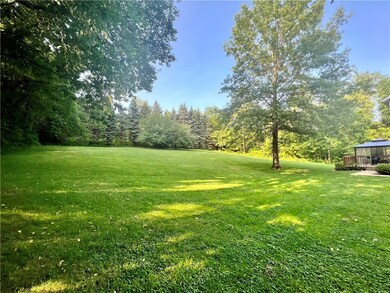Back yard view