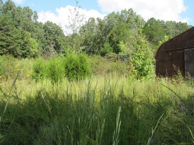 138 Ward Cemetary Rd, Linden, TN 37096 - photo 7