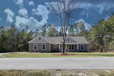 41 Violet Ln, Crawfordville, FL 32327 - photo 2