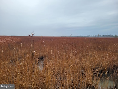 3241 Robbins Rd, Crapo, MD 21626 - photo 7