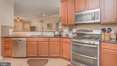 24636 Woolly Mammoth Terrace unit 407, Aldie, VA 20105 - photo 6