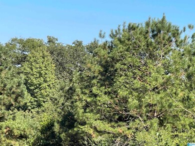 0 Howells Cove Rd unit 21433059, Talladega, AL 35160 - photo 3