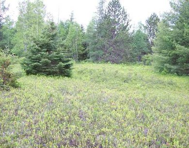 Land.