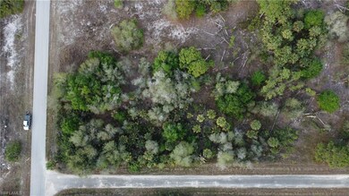 1215 Hillcrest St E, Lehigh Acres, FL 33974 - photo 4