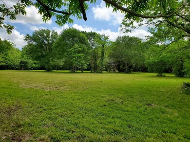 0 County Road 461 Off Nar, Brazoria, TX 77422 - photo 5