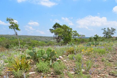 817 Other, Doss, TX 78618 - photo 4