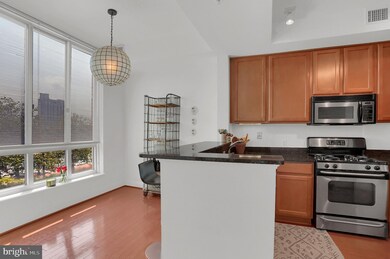 717 President St unit 203, Baltimore, MD 21202 - photo 7