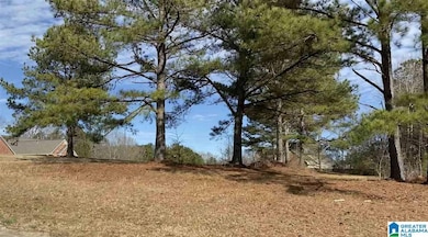 Lot 7 County Road 70, Thorsby, AL 35171 - photo 6