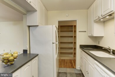 2217 Washington Ave unit 101, Silver Spring, MD 20910 - photo 7