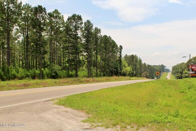 5ac Old 63 S, Lucedale, MS 39452 - photo 3