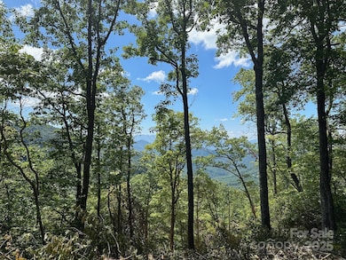 00 Falls View Rd unit 70, Bryson City, NC 28713 - photo 3