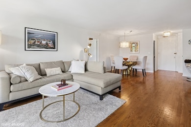 Astor Terrace unit 6B, Chicago, IL 60610 - photo 7