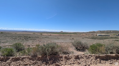 2042 Goose Ranch Rd, Vernal, UT 84078 - photo 3