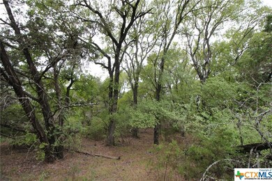 TBD Cowan Rd, Moody, TX 76557 - photo 7