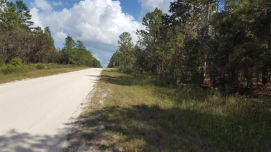 0 SW 73 St unit MFROM543638, Ocala, FL 34481 - photo 3