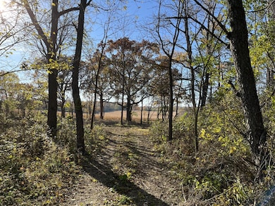 Surrounded by Nature