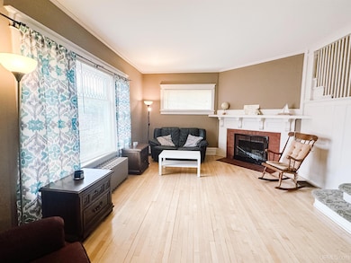 607 N 4th St, Ishpeming, MI 49849 - photo 4