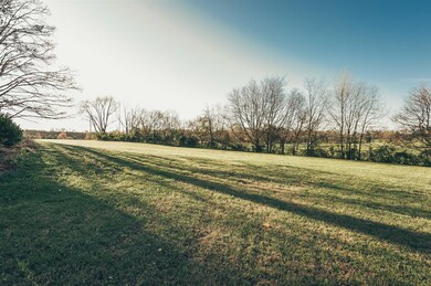 Huge side yard perfect for kids to play or animals to run. 