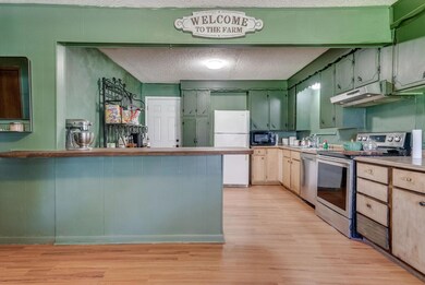 5401 N Fm 51, Weatherford, TX 76085 - photo 4