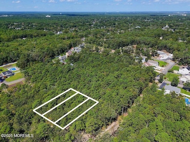 aerialveiwamherstmooris1