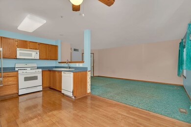 21230 W Walnut Dr unit A, Plainfield, IL 60544 - photo 6