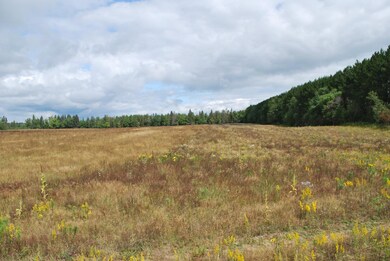 ON Cth P unit 37.90 Ac., Argonne, WI 54511 - photo 7