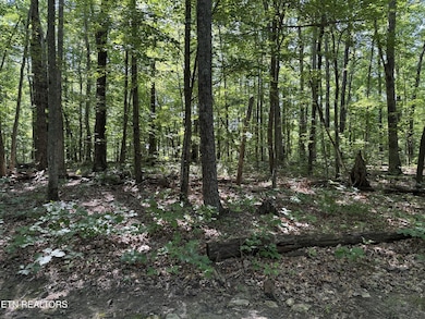 0 Little Place unit RTC2928150, Monterey, TN 38574 - photo 7