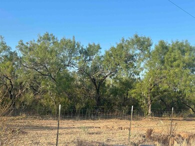 992 Jordan Rd unit 992 Jordan Rd Tract, Encinal, TX 78019 - photo 4