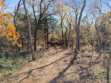 002 Cimarron Rd, Wilson, OK 73463 - photo 5