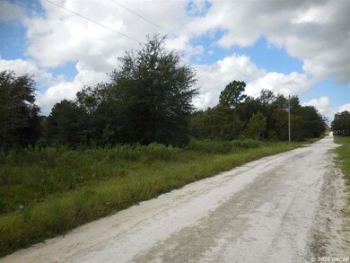 21630 SE 71st Place, Morriston, FL 32668 - photo 5