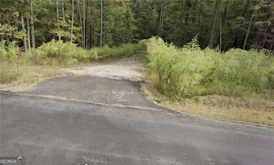 0 Gore Lakes Rd unit 10475012, Dallas, GA 30132 - photo 5