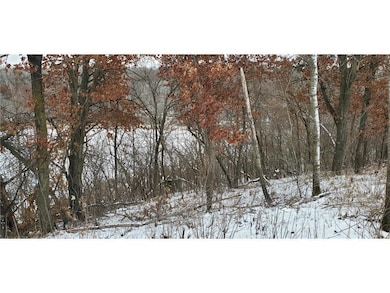 987 Moon Glow Rd, Hudson, WI 54016 - photo 4