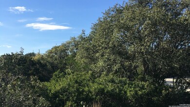 8602 Rain Valley St, San Antonio, TX 78255 - photo 3