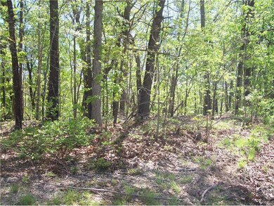 0 York Drive & Leeds Ln, Bella Vista, AR 72714 - photo 3