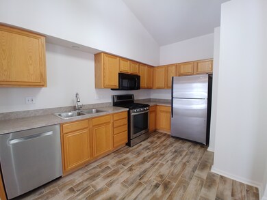 331 Emerald Ln unit 41, Algonquin, IL 60102 - photo 4