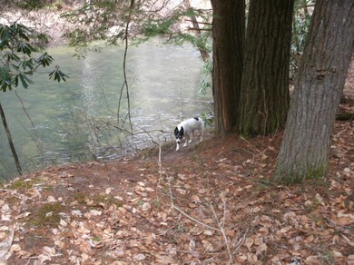 White Creek