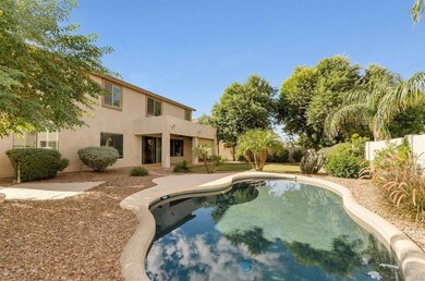 Fabulous Backyard