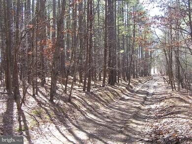 2337 Green Spring Rd, Winchester, VA 22603 - photo 6