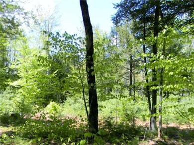 Lot #4 Sweden Rd, Bridgton, ME 04057 - photo 6