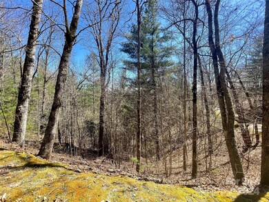 Lot 3 on Saturn Way unit 3, Bryson City, NC 28781 - photo 2