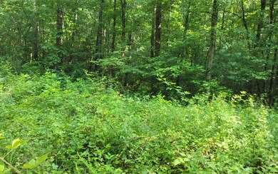 Additional View