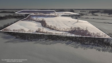 TBD E Hairpin Rd, Stockton, IL 61085 - photo 6