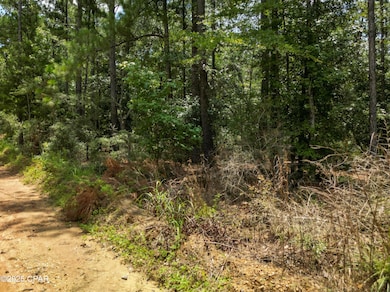 TBD Creek Run Rd, Vernon, FL 32462 - photo 2