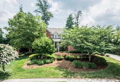 1736_Evening_Shade_102