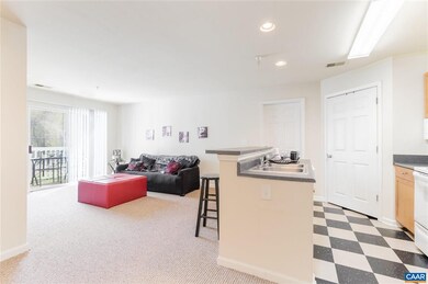 195 Yellowstone Dr unit 4, Charlottesville, VA 22903 - photo 7