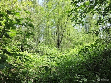 20633 SE 388th St, Enumclaw, WA 98022 - photo 2