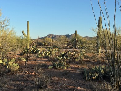 LOT 4 ~ LAZY C RANCH