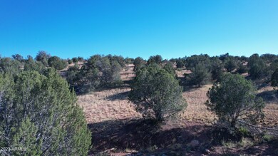 Nice amount of trees